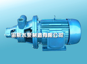 铸铁单级旋涡泵1W型